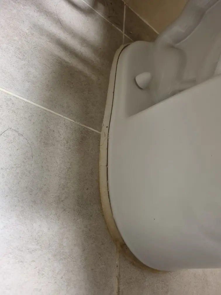 백시멘트 작업 2